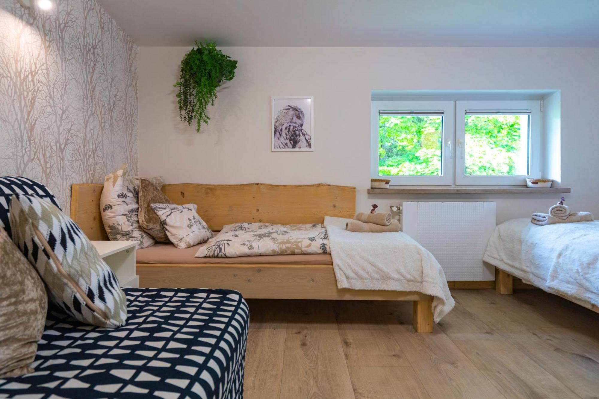 Zaciszne Centrum Apartment *